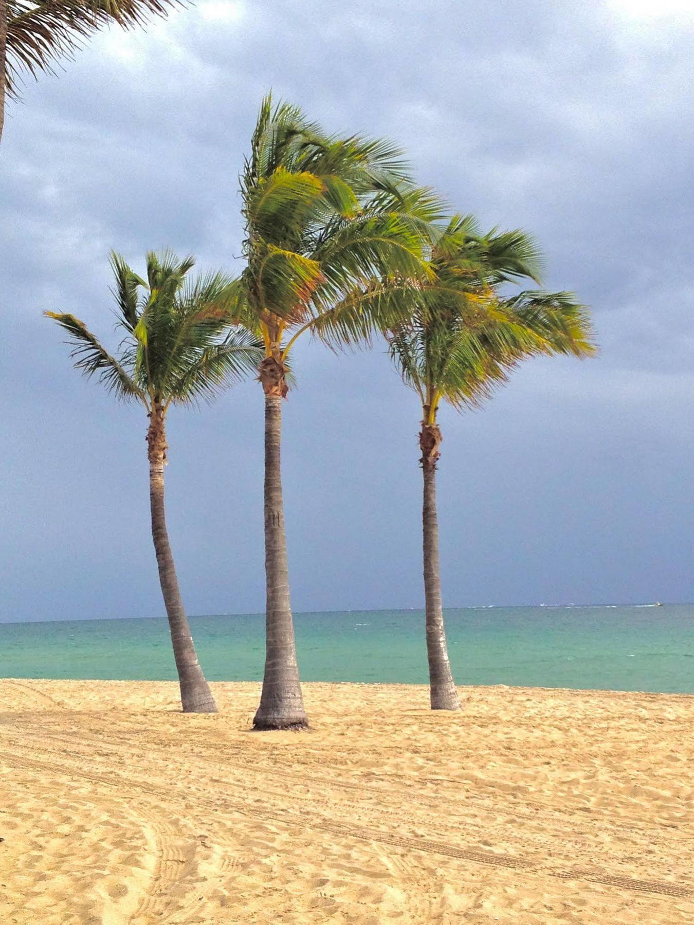 Fortuna Fort Lauderdale Ngoại thất bức ảnh